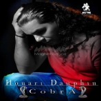 Houari dauphin sur yala.fm